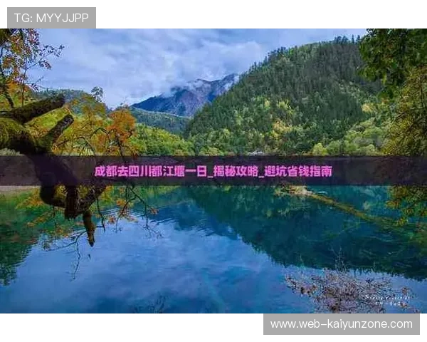 波胆代理怎么找精准客户避坑指南品牌入口下载评测